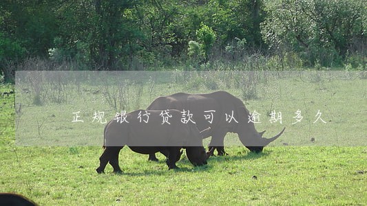 正规银行贷款可以逾期多久 正规银行贷款可以逾期多久