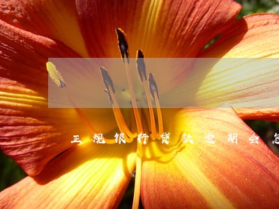 正规银行贷款逾期会怎样 正规银行贷款逾期会怎样