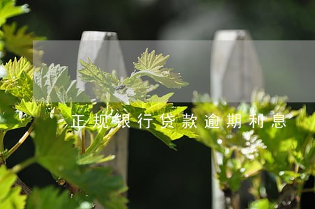 正规银行贷款逾期利息 正规银行贷款逾期利息