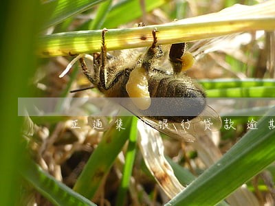 正通集团银行贷款逾期 正通集团银行贷款逾期