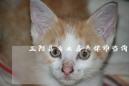 正阳县专业房产律师咨询