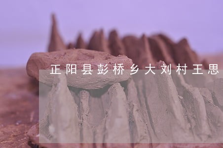 正阳县彭桥乡大刘村王思杰违法 正阳县彭桥乡大刘村王思杰违法