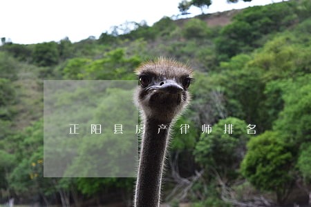 正阳县房产律师排名 正阳县房产律师排名