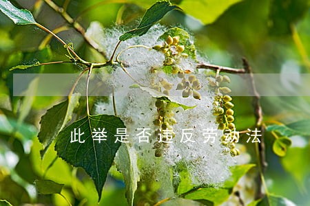 此举是否违反劳动法 此举是否违反劳动法