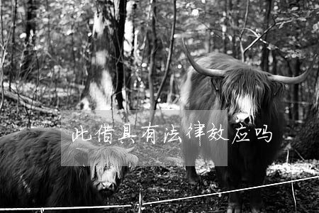 此借具有法律效应吗 此借具有法律效应吗