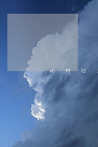 此种行为严重违法 此种行为严重违法