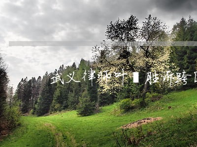 武义律师叶菡胜诉跨国经济案件 武义律师叶菡胜诉跨国经济案件