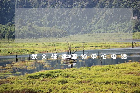 武义法律咨询中心电话