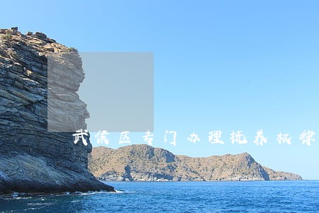 武侯区专门办理抚养权律师 武侯区专门办理抚养权律师