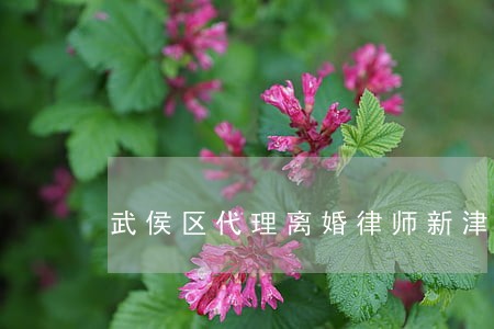 武侯区代理离婚律师新津 武侯区代理离婚律师新津
