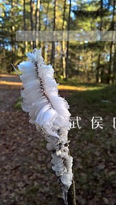武侯区代理离婚律师簇桥 武侯区代理离婚律师簇桥