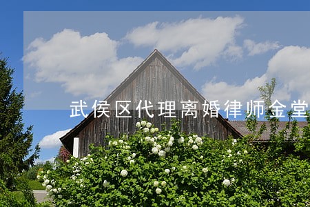 武侯区代理离婚律师金堂 武侯区代理离婚律师金堂
