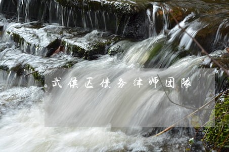 武侯区债务律师团队 武侯区债务律师团队