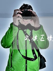 武侯区债务律师找谁好 武侯区债务律师找谁好