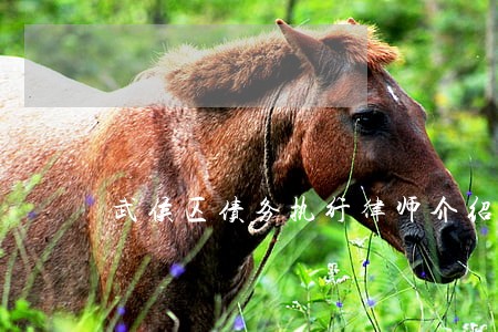 武侯区债务执行律师介绍 武侯区债务执行律师介绍