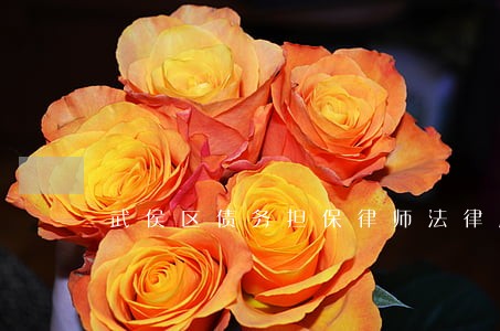 武侯区债务担保律师法律服务 武侯区债务担保律师法律服务