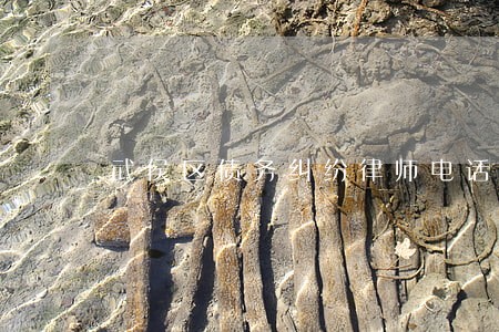 武侯区债务纠纷律师电话多少 武侯区债务纠纷律师电话多少