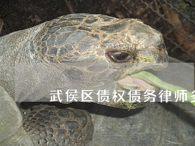 武侯区债权债务律师多少钱 武侯区债权债务律师多少钱