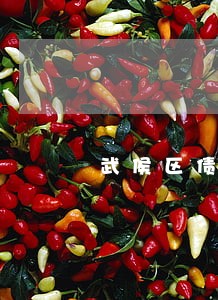 武侯区债权债务律师热线 武侯区债权债务律师热线