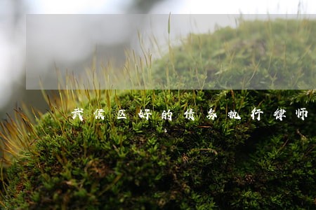 武侯区好的债务执行律师免费咨询 武侯区好的债务执行律师免费咨询