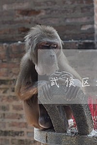 武侯区好的离婚律师苏坡 武侯区好的离婚律师苏坡