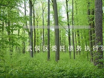 武侯区委托债务执行律师咨询热线