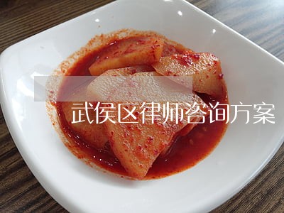 武侯区律师咨询方案 武侯区律师咨询方案