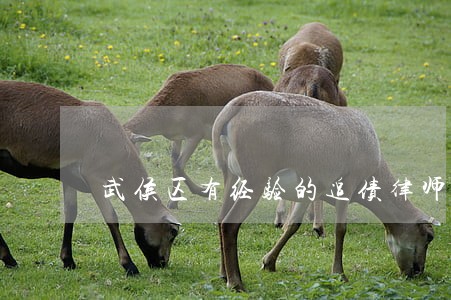 武侯区有经验的追债律师 武侯区有经验的追债律师