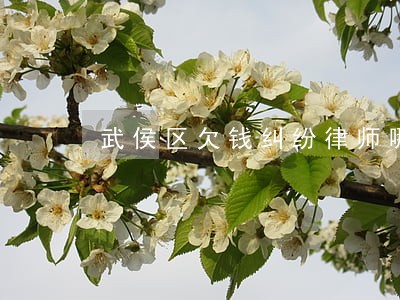 武侯区欠钱纠纷律师哪个好 武侯区欠钱纠纷律师哪个好
