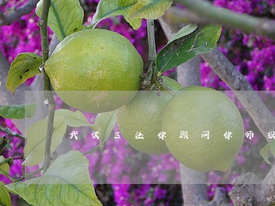 武侯区法律顾问律师报价 武侯区法律顾问律师报价