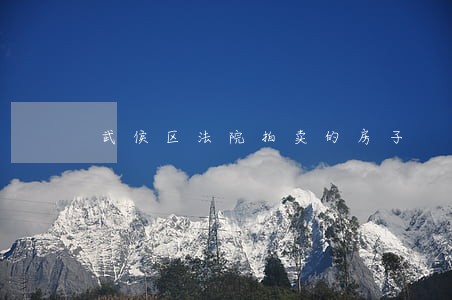 武侯区法院拍卖的房子 武侯区法院拍卖的房子