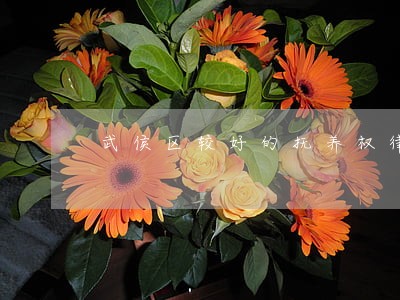 武侯区较好的抚养权律师