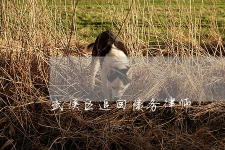 武侯区追回债务律师 武侯区追回债务律师