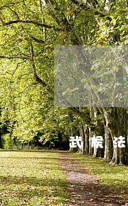 武侯法院旁 武侯法院旁