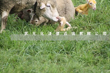 武元化法律咨询有限公司 武元化法律咨询有限公司