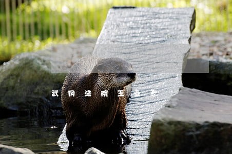 武冈法院王业态 武冈法院王业态