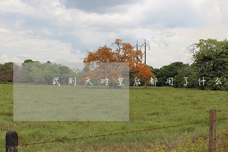 武则天对皇后都用了什么刑法 武则天对皇后都用了什么刑法