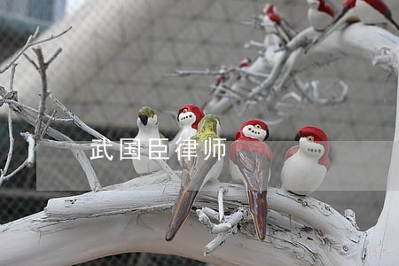 武国臣律师 武国臣律师