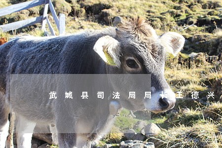 武城县司法局局长王德兴 武城县司法局局长王德兴