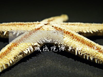 武城法院源头解纷促履行 武城法院源头解纷促履行