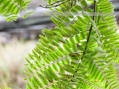 武夷山二手房 武夷山二手房