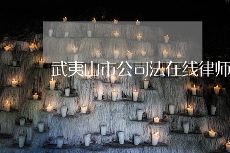 武夷山市公司法在线律师咨询 武夷山市公司法在线律师咨询