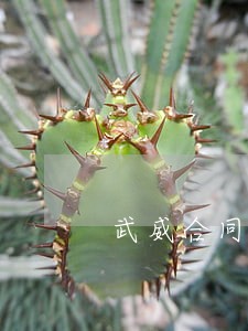 武威合同纠纷律师顾问 武威合同纠纷律师顾问