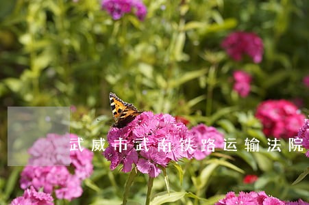 武威市武南铁路运输法院开厅直播 武威市武南铁路运输法院开厅直播
