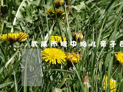 武威市腹中胎儿亲子司法鉴定 武威市腹中胎儿亲子司法鉴定