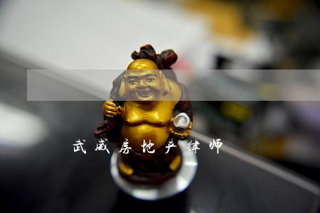 武威房地产律师 武威房地产律师