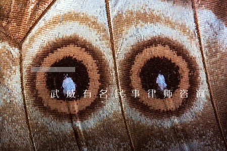 武威有名民事律师咨询 武威有名民事律师咨询