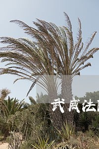 武威法院待遇 武威法院待遇