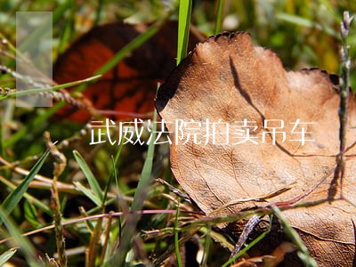 武威法院拍卖吊车 武威法院拍卖吊车