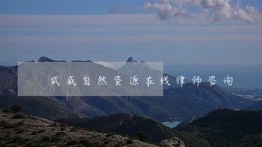 武威自然资源在线律师咨询 武威自然资源在线律师咨询